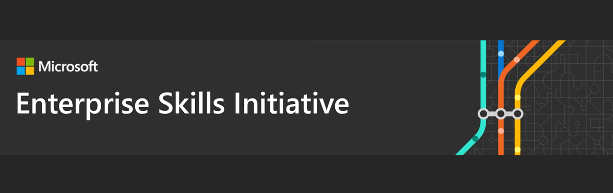 Enterprise skill initiative